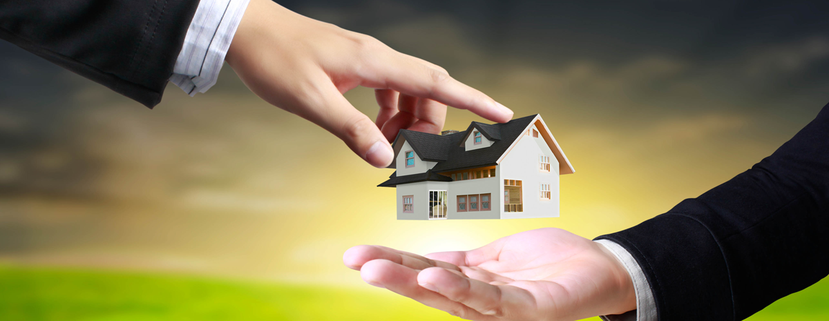 Real Estate  | Services